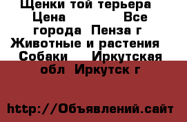 Щенки той терьера › Цена ­ 10 000 - Все города, Пенза г. Животные и растения » Собаки   . Иркутская обл.,Иркутск г.